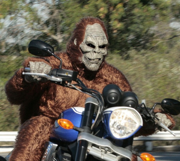 Rider on motorcycle dressed in Bigfoot outfit