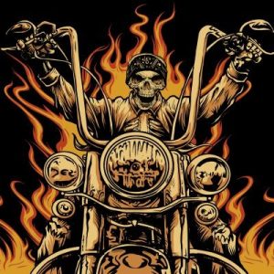 Biker Skull