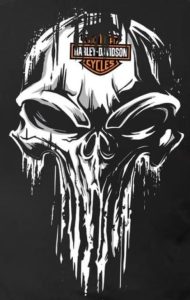 Punisher Skull