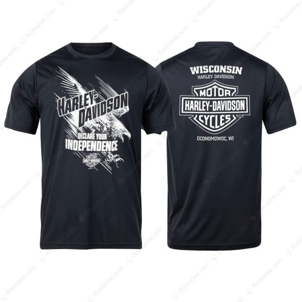 Harley-Davidson Eagle Free Flyer Merch, Harley-Davidson Declare Your Independence T-Shirt