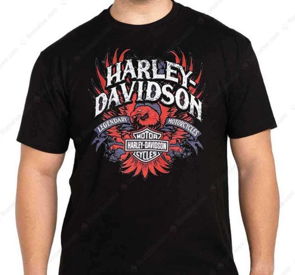 Harley-Davidson Fierce Eagle Graphic Merch, Wisconsin Harley-Davidson Motorcycles T-Shirt