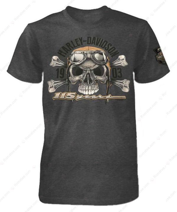 Vintage Harley-Davidson Skull Crossbones Merch, Harley-Davidson 115 Years Anniversary T-Shirt